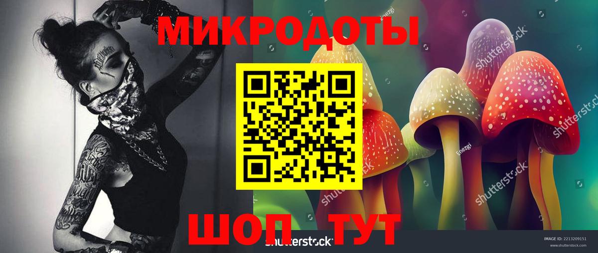 Псилоцибиновые грибы Cubensis  Вход с VPN  Ижевск 